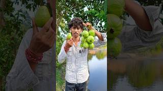 পিয়ারা চুরি করলাম foodvlog shorts minivlog [upl. by Jeggar]