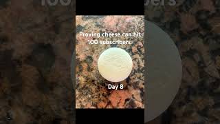 Proving cheese can hit 100 subscribers [upl. by Eillo]