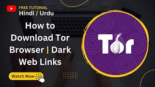 How to download Tor browser 2024  Dark Web [upl. by Rubinstein375]