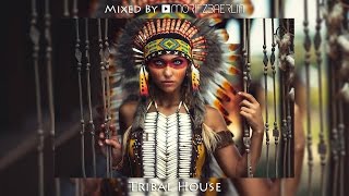 TRIBAL HOUSE  Mixtape 138 [upl. by Woodring]