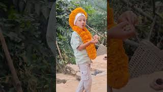 happy Tihar shortvideo [upl. by Annahsad]