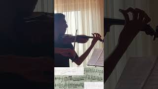 Practicing Bruch Violin Concerto Day 4 Octaves classicalmusic Violin [upl. by Attesor26]