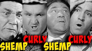 THREE STOOGES Film Festival  SHEMPCURLYSHEMPCURLY Part 3 OVER THREE HOURS [upl. by Madge]