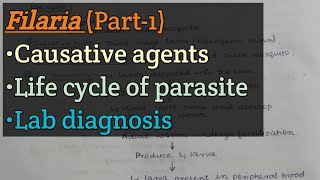 Filaria Part1  Causative parasites  Life cycle of parasite  Lab diagnosis [upl. by Kumar]