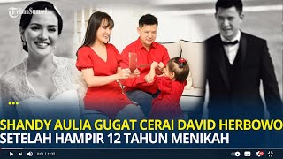 Shandy Aulia Gugat Cerai David Herbowo Setelah Hampir 12 Tahun Menikah Anak Tetap Diasuh Bersama [upl. by Velda928]