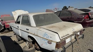 Day 1 of Junkyard Roadtrip to Las Vegas 2 Junkyards in Fresno with Mercedes BMWs amp Pack of Dogs [upl. by Amhsirak]