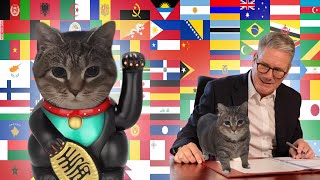 Oiiaoiia cat in different languages meme  PART 1 [upl. by Marston]