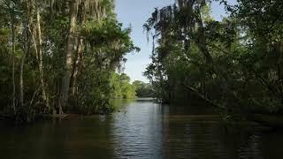 ROUGAROU  Legendary Beast of South Louisiana History and Folklore [upl. by Ednutabab558]