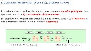 Les peptides [upl. by Mackoff]