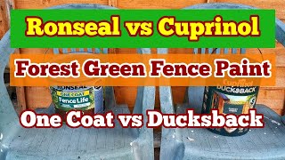 Ronseal One Coat Against Cuprinol Ducksback Comparing Forest Green Fence and Shed Paint [upl. by Hollenbeck]