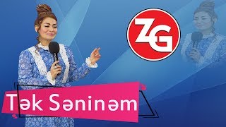 Zahide Gunes Tek Seninem [upl. by Sisak]