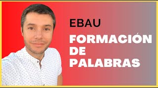 Cómo analizar la FORMACIÓN DE PALABRAS Morfología EBAU FÁCIL [upl. by Scevo]