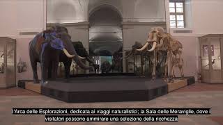 Riaperto il Museo regionale di Scienze naturali [upl. by Zales]