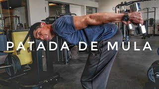 Tutorial Patada de Mula con Mancuernas Rutina Triceps [upl. by Kleiman479]