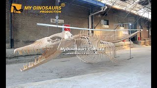 Marine Animal Fossil  10M Basilosaurus Skeleton [upl. by Web]