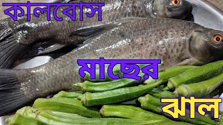 kalbos fish recipeকালবোস মাছের ঝাল ঢেঁড়স দিয়েsupriya paritosh [upl. by Lesnah229]