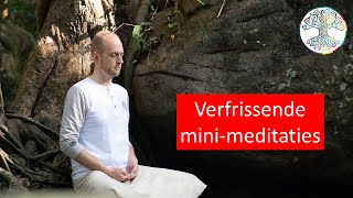 Begeleide meditatie quotverfrissende minimeditatiesquot [upl. by Esnofla982]