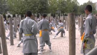 STQI To China amp Shaolin Luohan Garden [upl. by Eylrac]