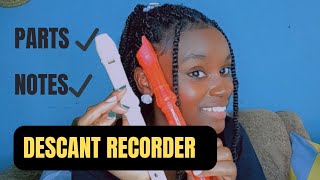 RECORDER FOR BEGINNERS PARTS OF A DESCANT RECORDER NOTES ON A RECORDER [upl. by Nicks]