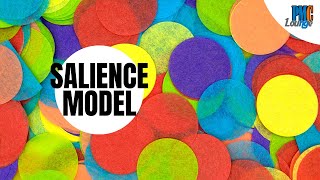 Salience Model [upl. by King374]