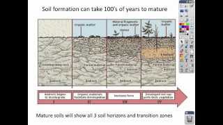 Intro to Soil lecture [upl. by Alpers947]