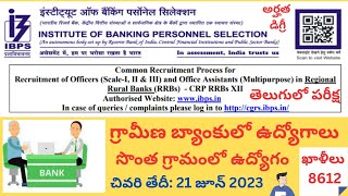 IBPS Recruitment  Grameena Bank Notification  Bank Notification  IBPS recruitment 2023  Bank job [upl. by Lynette]