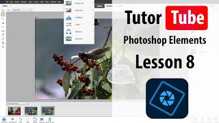 Photoshop Elements Tutorial  Lesson 8  Working with Version Set [upl. by Eicnarf760]