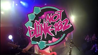 Not Blink182  Dammit  July 2024 [upl. by Dixil254]