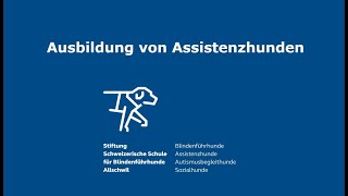 Ausbildung von Assistenzhunden – Ausziehen der Schuhe [upl. by Reamy]