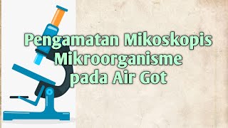 Pengamatan mikroskopis Mikroorganisme pada Air Got [upl. by Corel]