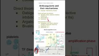 Anticoagulants and their mechanisms [upl. by Halian]