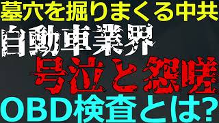 1212 公然と政府批判！新車検ルールの影響で自動車業界に怨嗟の声 [upl. by Mehitable]