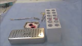 Dr Choukrouns Process for PRF Membrane Demonstration [upl. by Ardnoik188]