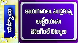 Tips to Prevent Bacteria in Fruits Vegetables  Baking Soda Vinegar  Chitkalu  Vanitha Nestham [upl. by Pugh]