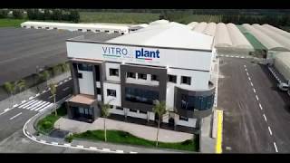 VITROPLANT ALGÉRIE  Skycam Algeria [upl. by Garretson]