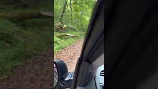 Mild OffRoading in a 2021 Mitsubishi Outlander Sport [upl. by Studnia90]