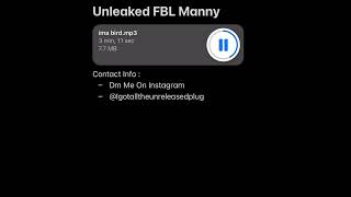 FBL Manny unreleased  I’m A Bird 2024 [upl. by Ninnetta]