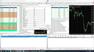 Review Copy Trade Close Together สำหรับทำ Carry Trade MT4 [upl. by Esetal]