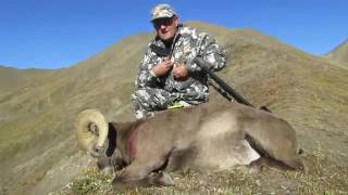 Chukotka Snow Sheep hunting in Russia with ProfiHunt 2016 [upl. by Mlohsihc]