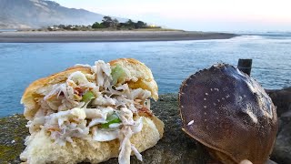 Dungeness Crab Catch amp Cook Sandwich on the Beach [upl. by Eibur194]