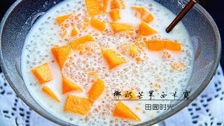 椰奶芒果西米露Mango sago with coconut milk [upl. by Noirod277]