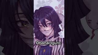 All hashira edit demonslayer edit kimetsunoyaiba hashira slideshow [upl. by Ruffina]