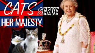 CATS IN THE SERVICE OF HER MAJESTY  LARRY the CAT  PALMERSTON Gladston Lawrence of Abdoun Freya [upl. by Nahte]