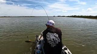 Galveston marsh redfish action 🔥🔥🔥 [upl. by Anuhsal]