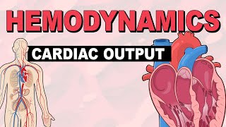 Cardiac Output  Hemodynamics Part 3 [upl. by Avlasor]