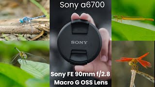 Video photography of Sony a6700 camera with Sony FE 90mm f28 Macro G OSS Lens  sony camera a6700 [upl. by Binnie]