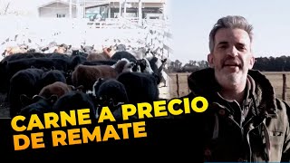 ¡CARNE A PRECIO DE REMATE El remate es el origen para armar el precio 💥 INFORME de MARTÍN CICCIOLI [upl. by Neomah]