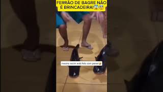 shorts short peixe fish bagres catfish viralvideo viralvideo pescador pesca youtubeshorts [upl. by Colleen]