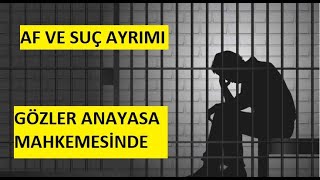 Af  Suç Ayrımı  infazdüzenlemesi cezaindirimi ehliyetaffı afhaber genelaf af ensonhaber [upl. by Aihsenyt477]