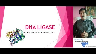 DNA Ligase  Joining of DNA [upl. by Lleon]